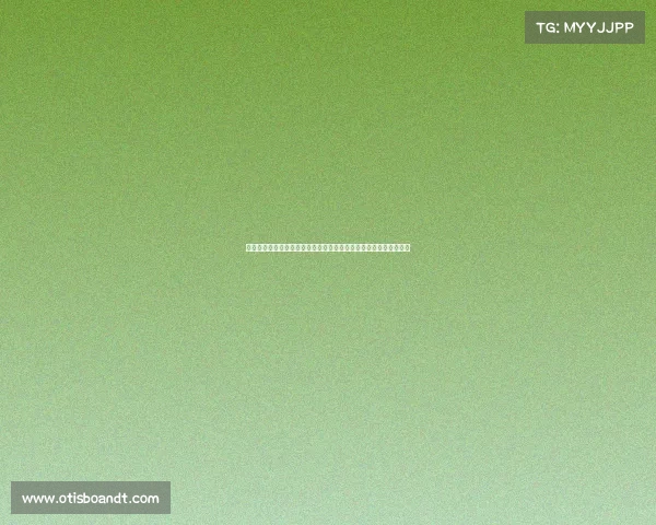 迪拜重要赛事全景扫描：奢华都市赛马世界杯与网球锦标赛巅峰对决